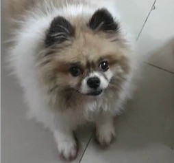 视频缩略图1